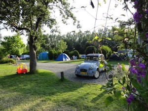 Camping Le Bois Coudrais - Standplätze auf dem Campingplatz
