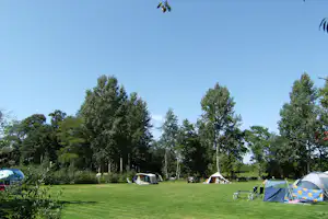 Camping Le Bois Coudrais - Standplatzwiese auf dem Campingplatz
