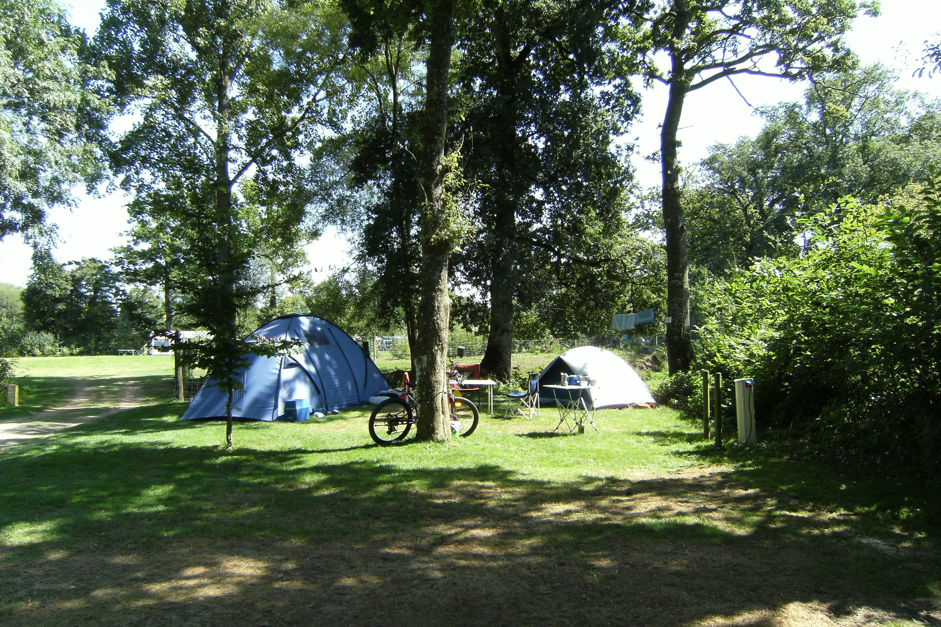 Camping Le Bois Coudrais - Zeltwiese auf dem Campingplatz