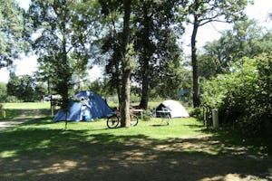 Camping Le Bois Coudrais - Zeltwiese auf dem Campingplatz