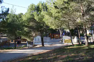 Campingplatz mit Stellplätzen und Wohnwagen zwischen hohen Bäumen, Weg und Holzzäunen im Vordergrund.
