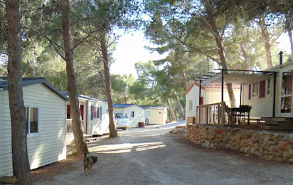 Camping Le Bois de Pins