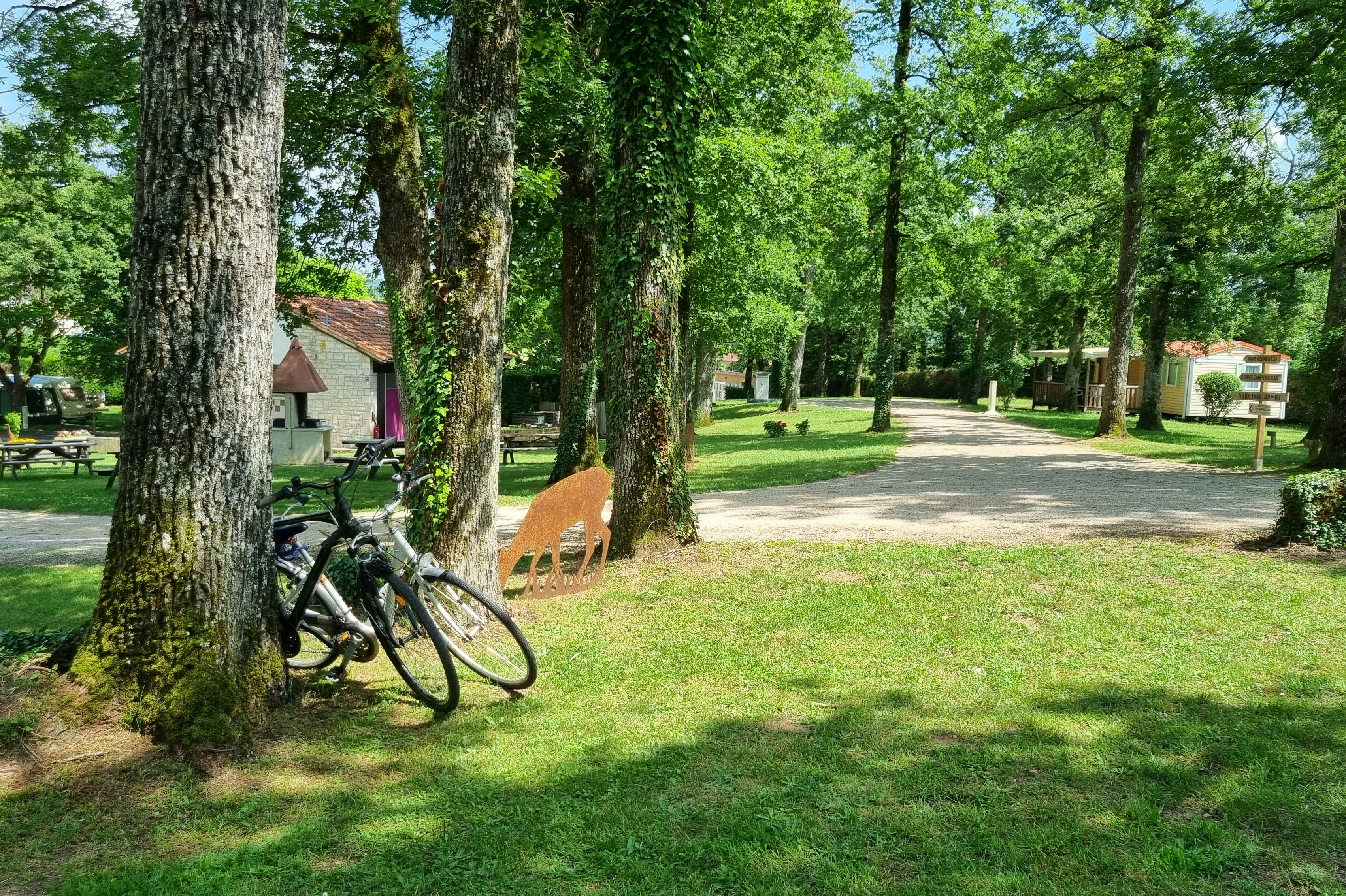 Camping Le Bois De Sophie