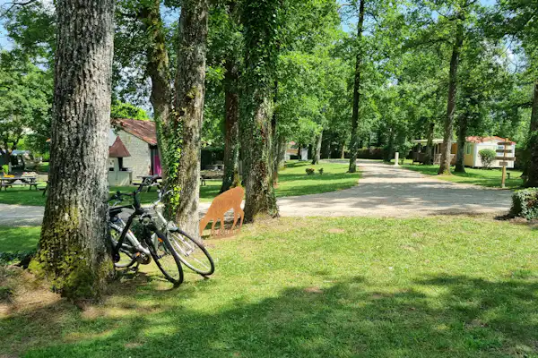 Camping Le Bois De Sophie