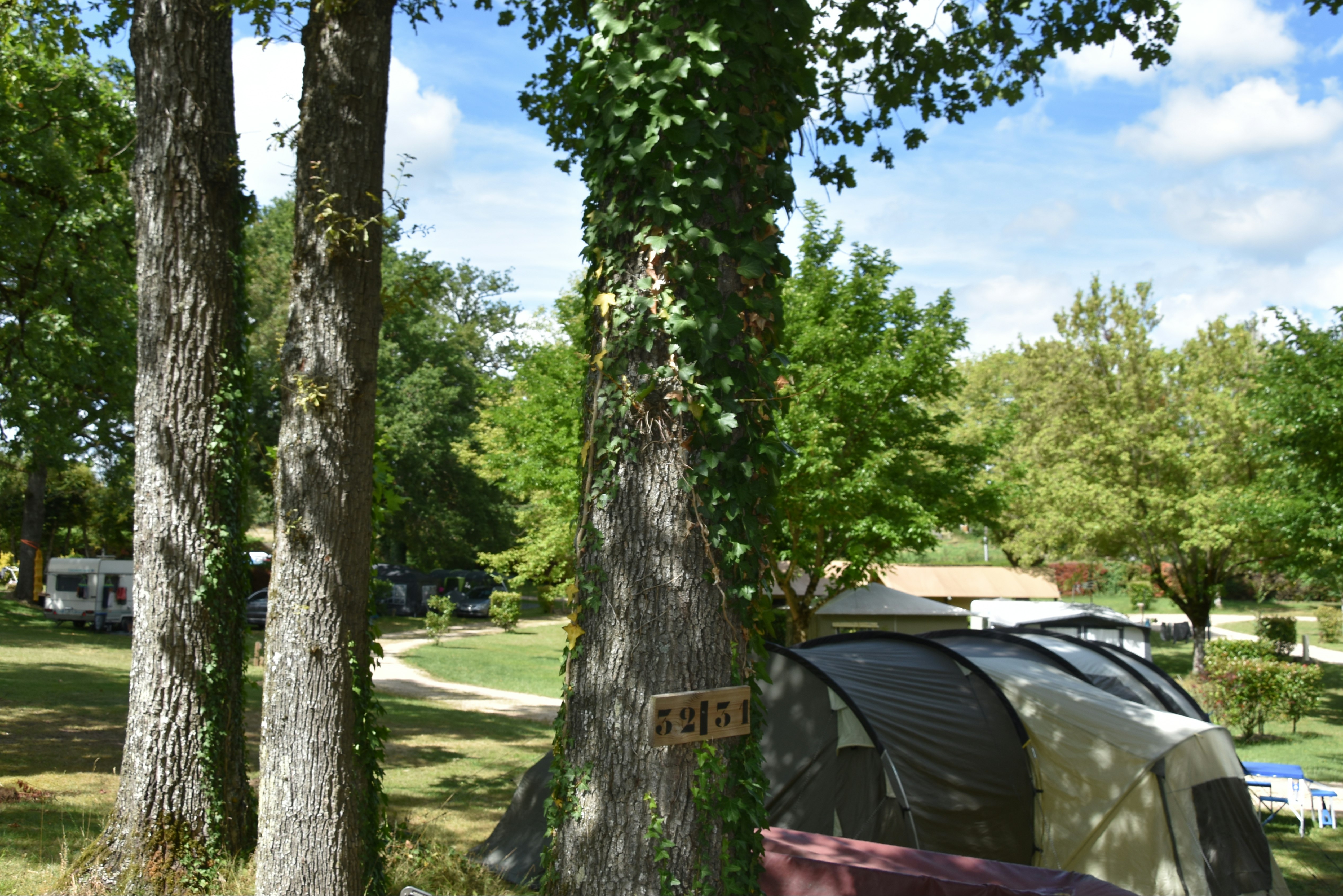 Camping Le Bois De Sophie - Zeltplätze im Schatten der Bäume