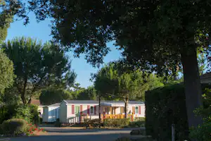 Bungalow im Campingbereich zwischen Bäumen, mit Terrasse und Sitzbereich, im Hintergrund ein Weg und weitere Unterkünfte.