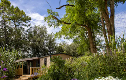 Camping Le Bois Verdon