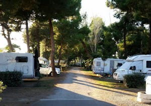 Camping Le Bosquet