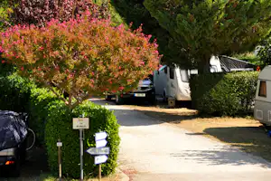 Campingplatz-Weg zwischen Bäumen und Hecken, mit geparktem Auto und Wohnwagen am Rand.