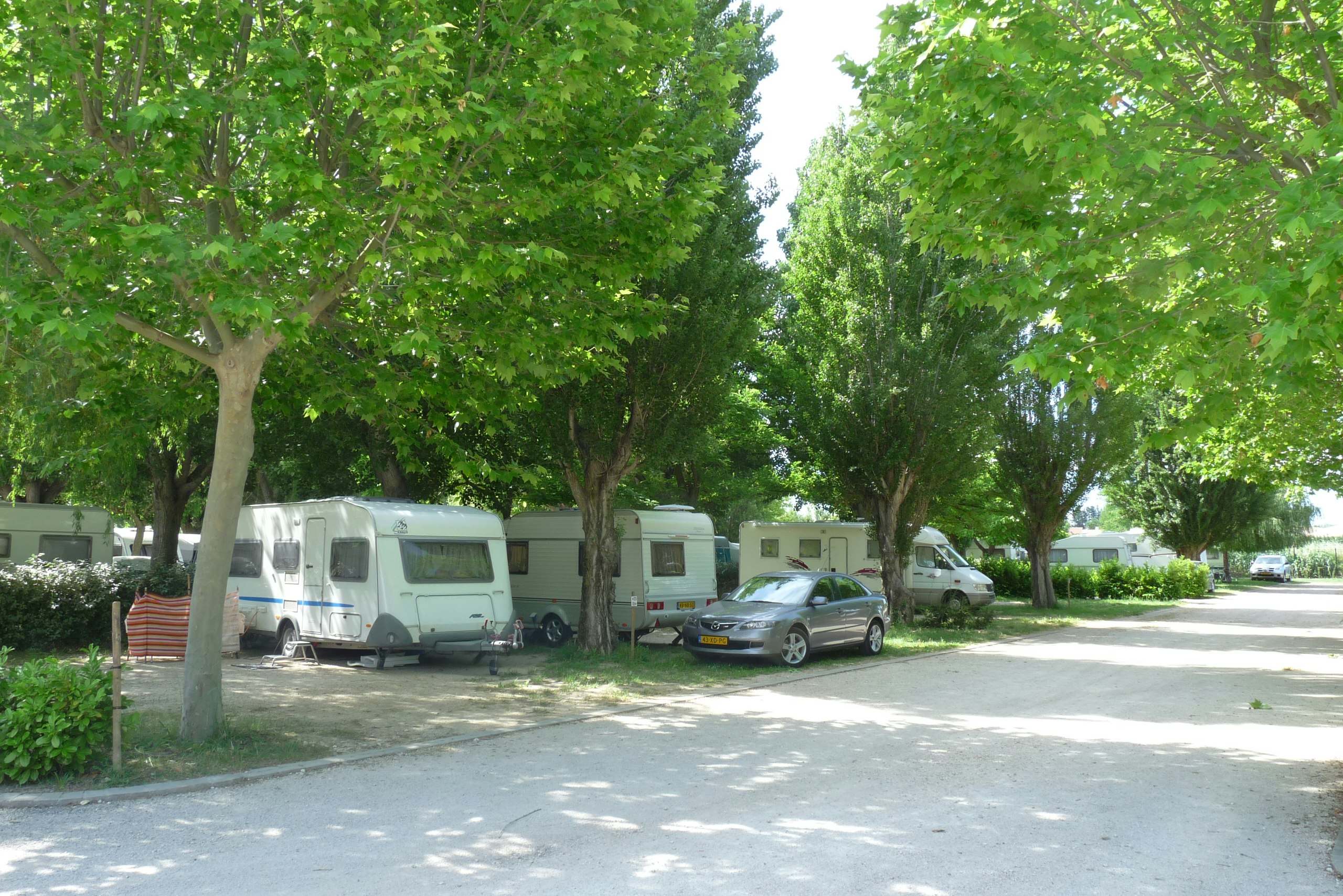 Wohnmobile und ein Auto stehen auf einem Campingplatzweg zwischen Bäumen, im Hintergrund weitere Fahrzeuge und Stellplätze.