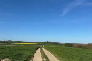 Schotterweg durch grüne Wiesen, Felder und Hecken am Rand, Blick in die Landschaft unter klarem blauen Himmel.