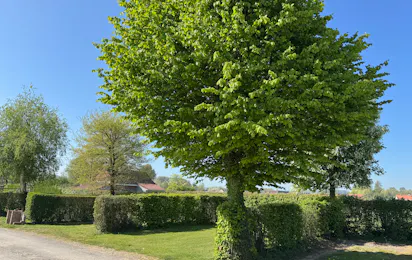 Camping L’Orée des Caps