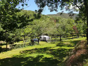 Wohnwagen auf einem grünen Campingplatz zwischen Obstbäumen, mit Auto und Grasweg im Hintergrund.