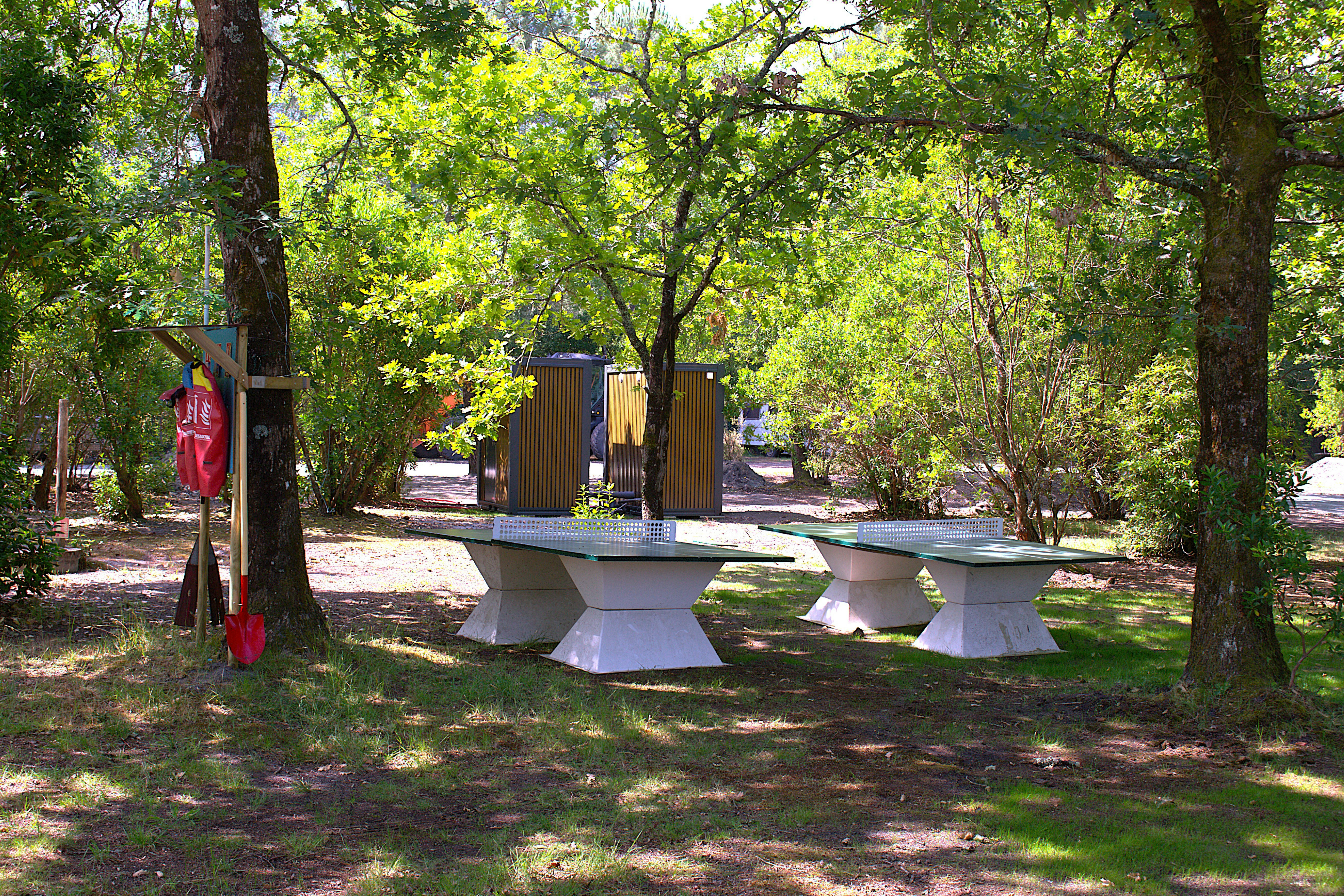 Picknicktische auf einem Campingplatz im Wald zwischen Bäumen, im Hintergrund ein Gebäude und ein Weg.