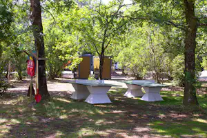 Picknicktische auf einem Campingplatz im Wald zwischen Bäumen, im Hintergrund ein Gebäude und ein Weg.