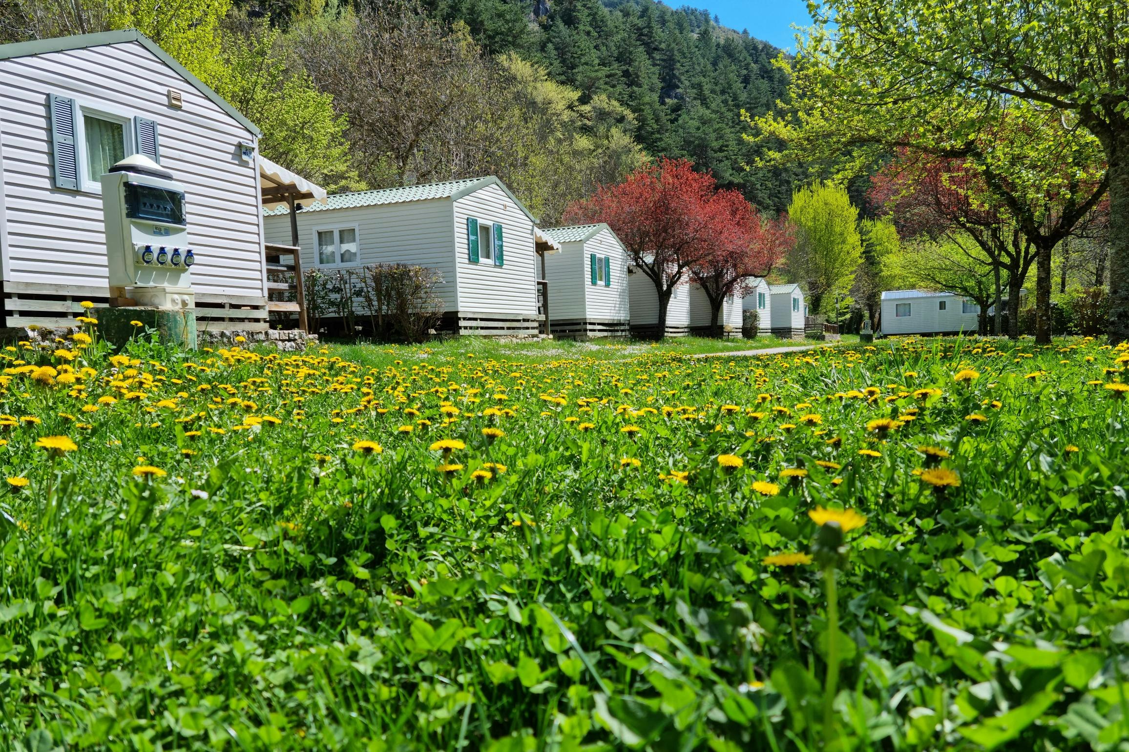 Camping Le Capelan  - Mobilheime auf dem Campingplatz