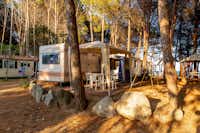 Camping Le Cernie - Mobilheim zwischen Bäumen