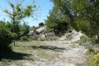 Camping Le Cezanne  Camping de Puyloubier - Standplatz zwischen Bäumen, Büschen und Steinaufschüttungen