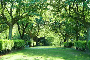 Camping Le Chauvieux - Wohnmobil- und Wohnwagenstellplätze im Grünen