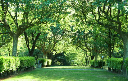 Camping Le Chauvieux