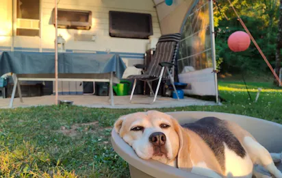 Camping Le Clos Bouyssac