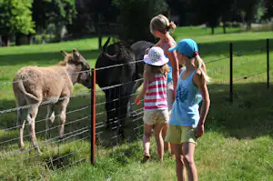 Camping Clos Cacheleux Camping Le Clos Cacheleux - Streichelzoo auf dem Campingplatz