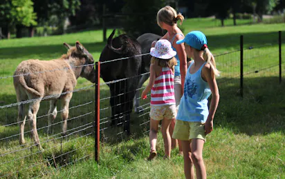 Camping Clos Cacheleux