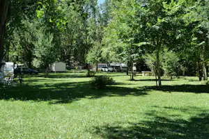 Grüne Campingwiese mit Bäumen und mehreren Stellplätzen, Wohnwagen und Autos am Rand des Rasens.