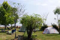 Camping Le Clos Fleuri  -  Zeltplatz vom Campingplatz auf grüner Wiese