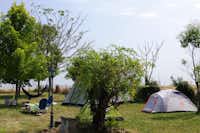 Camping Le Clos Fleuri  -  Zeltplatz vom Campingplatz auf grüner Wiese