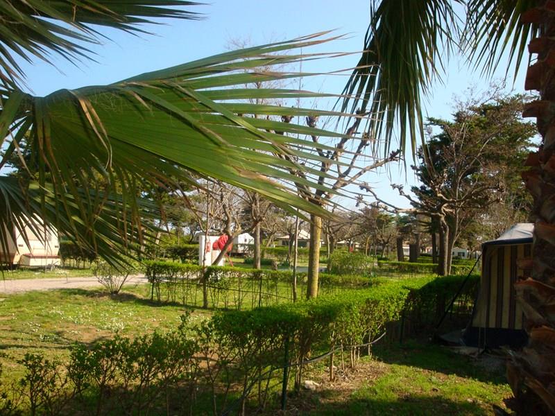 Camping Le Clos Fleuri