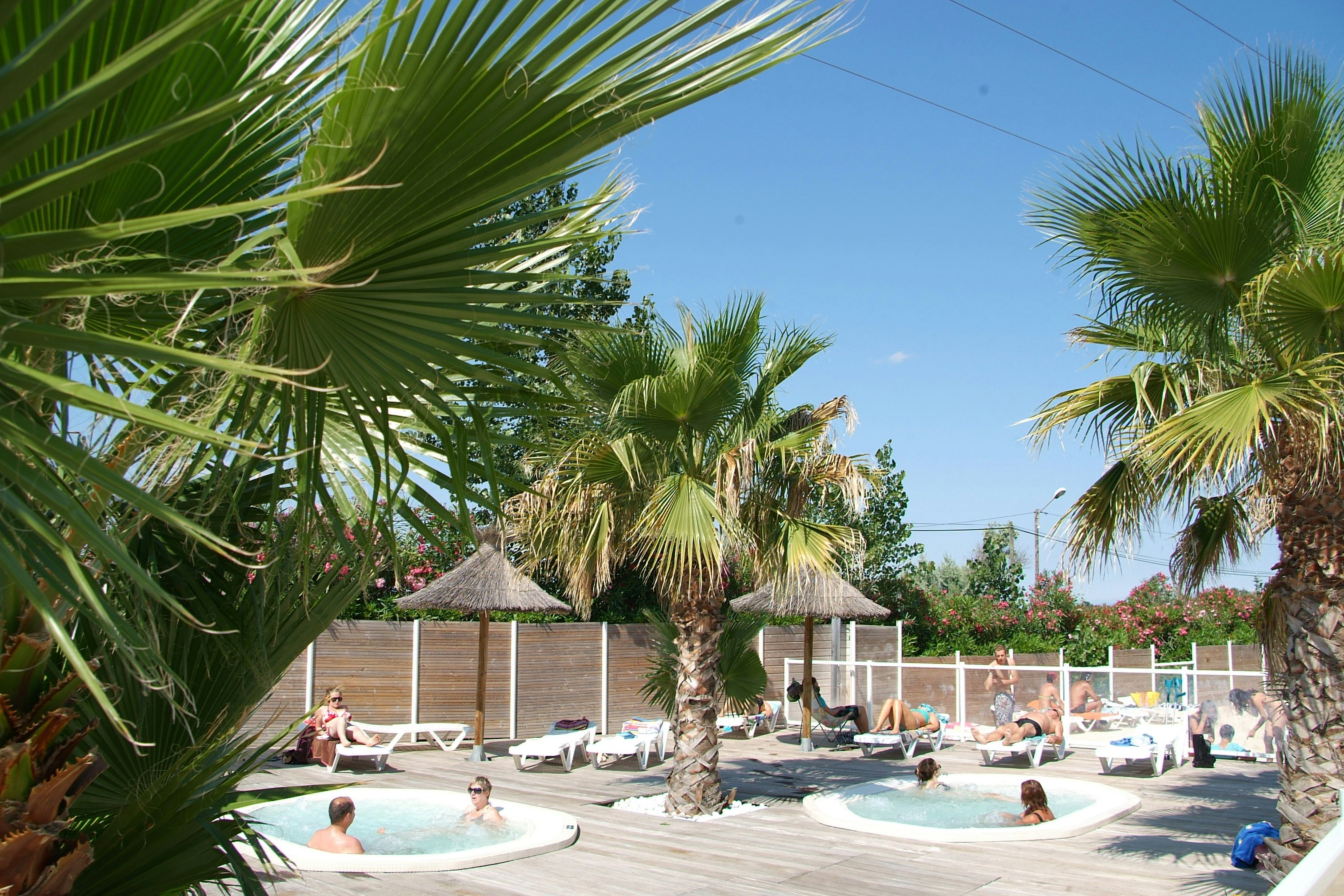 Camping-Pool mit Palmen, Sonnenliegen und Sonnenschirmen am Beckenrand, im Hintergrund Zäune und Gebäude.