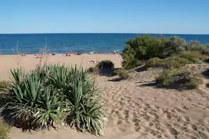 Sandstrand mit Dünen und Strandvegetation, Blick aufs Meer und auf einzelne Personen am Ufer.