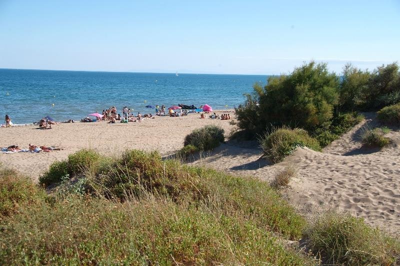 Blick auf einen Sandstrand mit vielen Badegästen, Dünen und Sträuchern am Ufer.