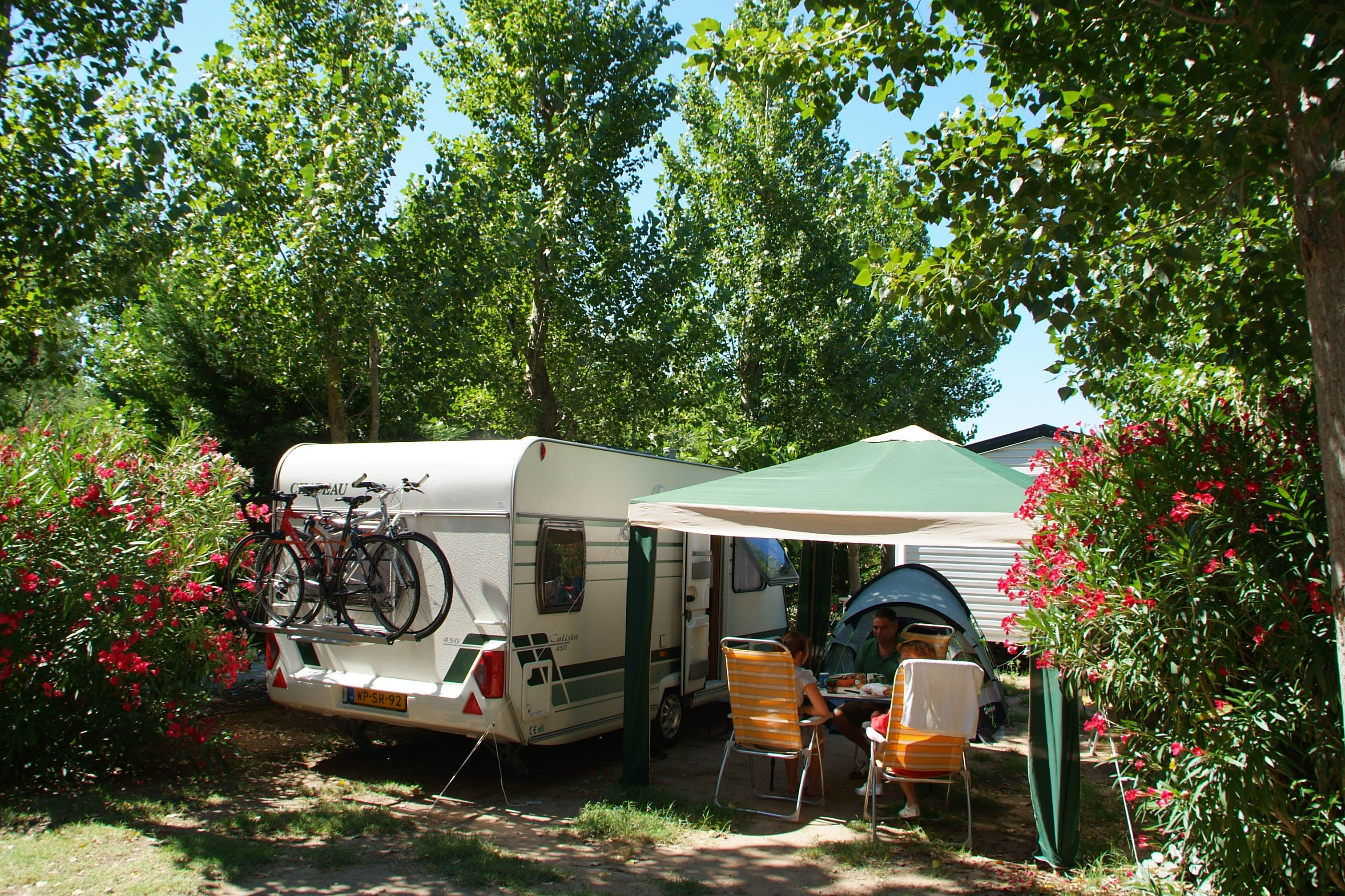 Wohnwagen auf einem Campingplatz mit Markise, zwei Stühlen und Tisch vor grünen Bäumen und Blumenbeeten.