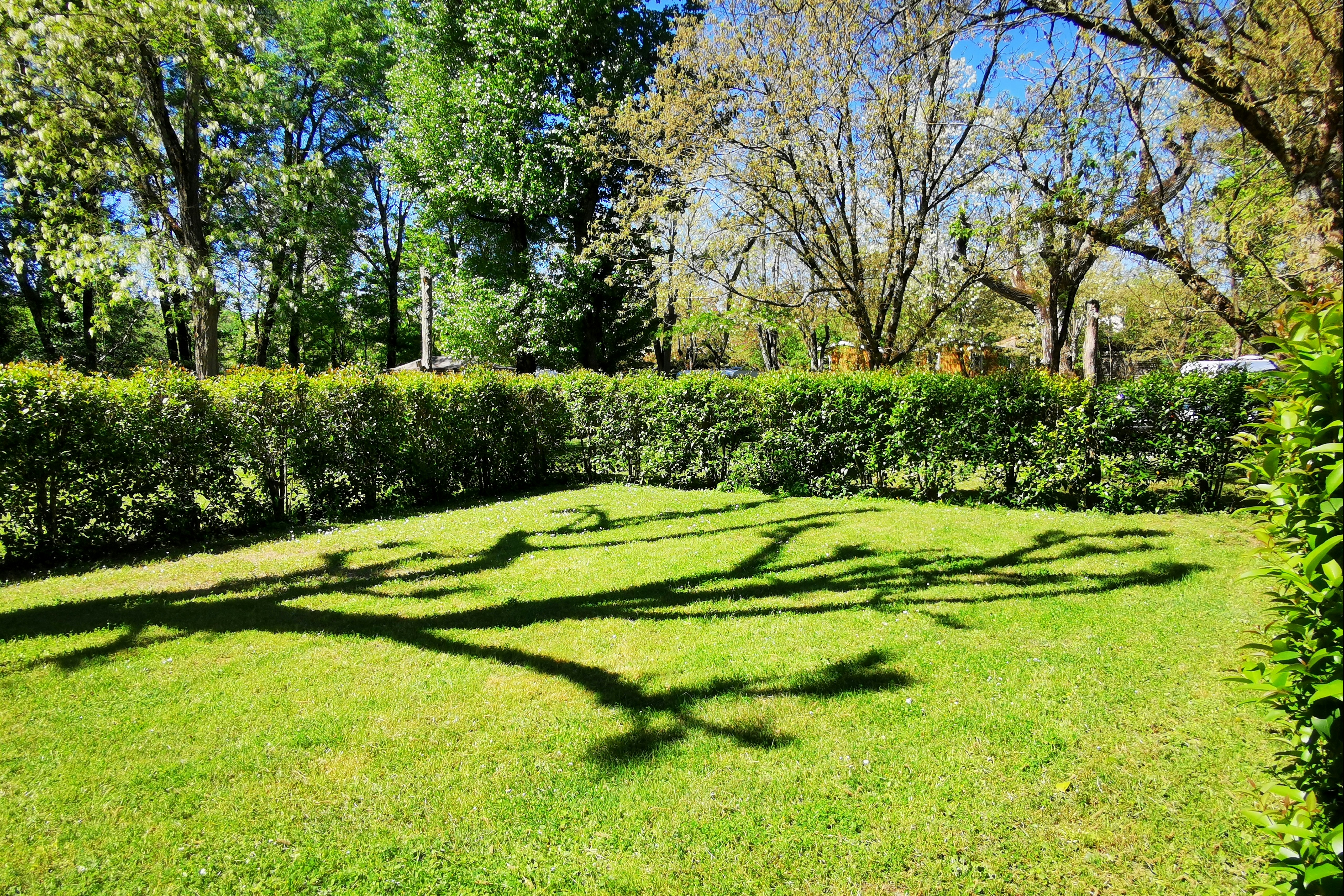 Grüner Rasen mit Hecken und Bäumen im Hintergrund, gepflegter Gartenbereich auf einem Campingplatz.