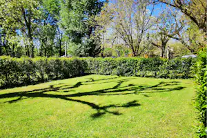 Grüner Rasen mit Hecken und Bäumen im Hintergrund, gepflegter Gartenbereich auf einem Campingplatz.