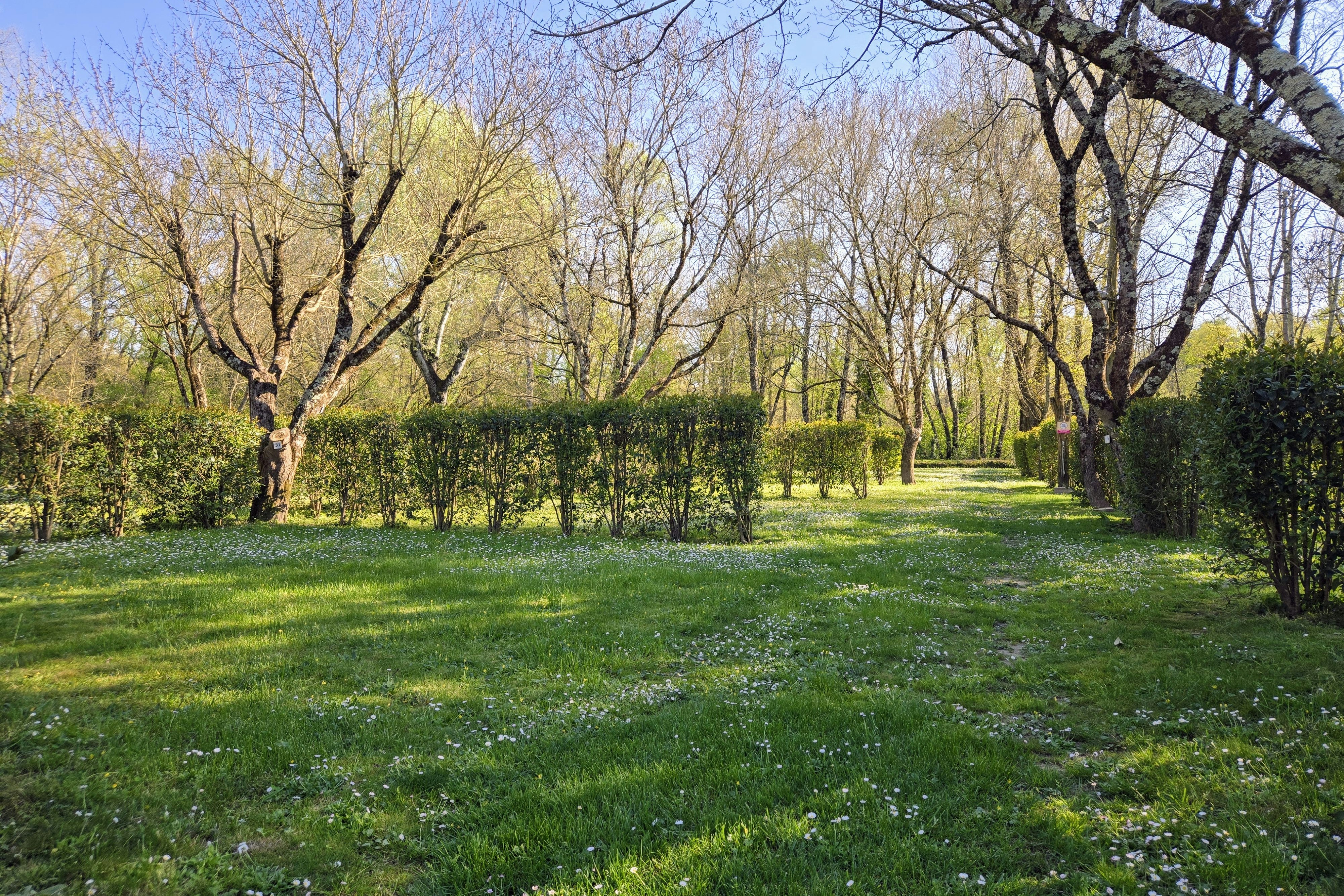 Grüner Campinggarten mit Rasenfläche, Obstbäumen und Hecken entlang eines Weges im Hintergrund.