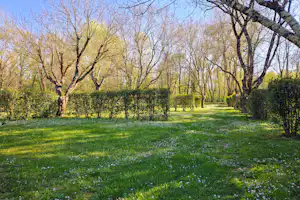 Grüner Campinggarten mit Rasenfläche, Obstbäumen und Hecken entlang eines Weges im Hintergrund.