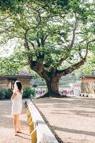 Camping Le Col d'Ibardin