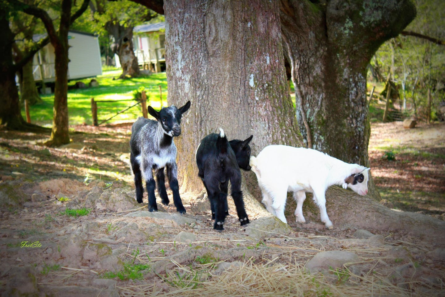 Camping Le Col d'Ibardin