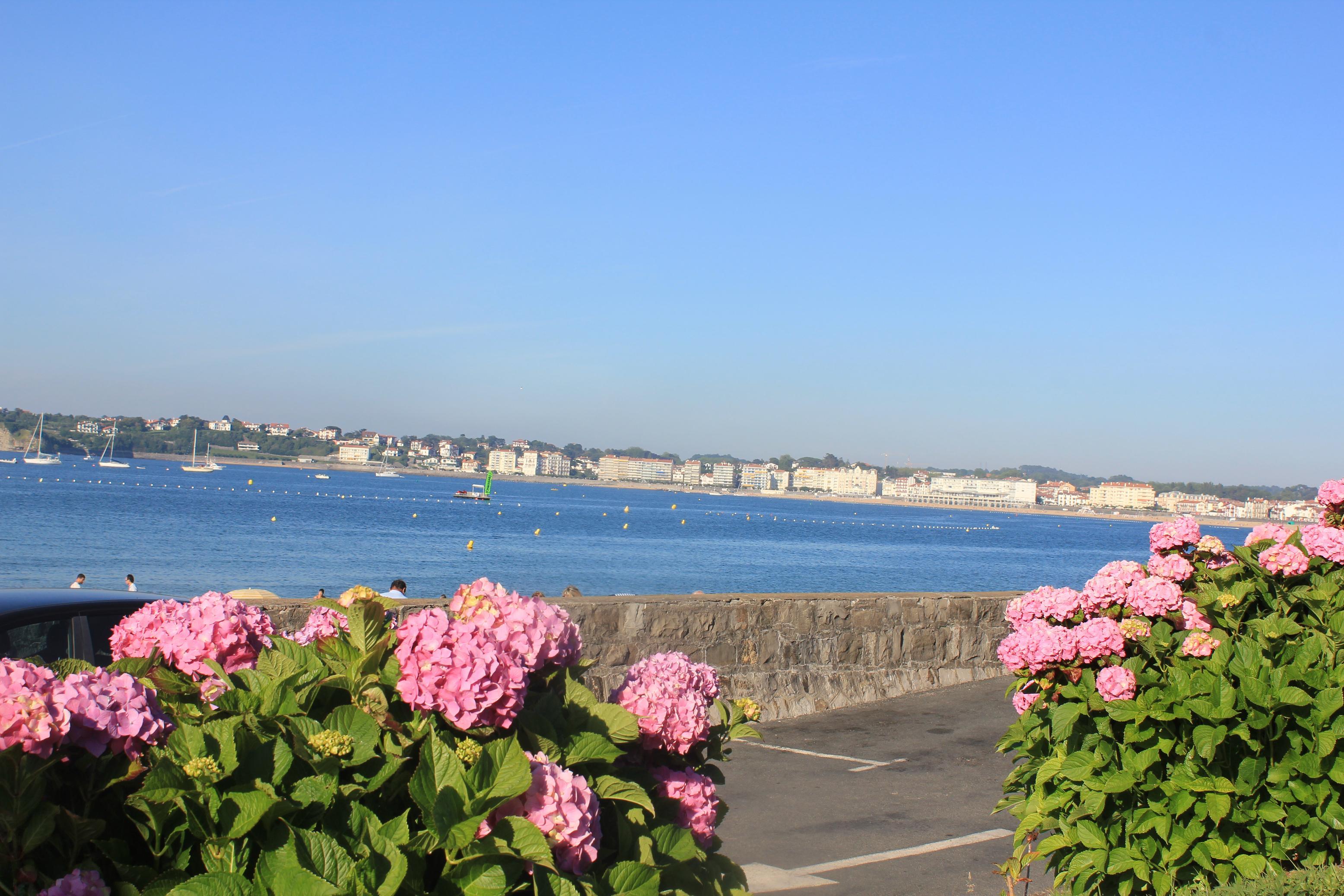 Camping Le Col d'Ibardin