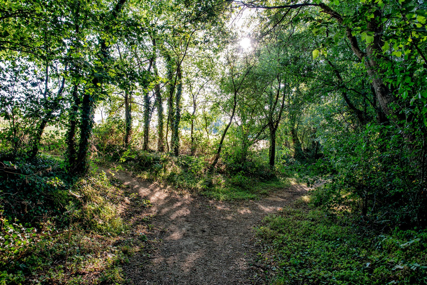 Camping Naturiste Le Colombier (Saint-Martin-Lars-en-Sainte-Hermine)