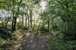 Camping Naturiste Le Colombier