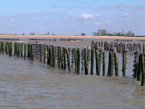 Camping Naturiste Le Colombier