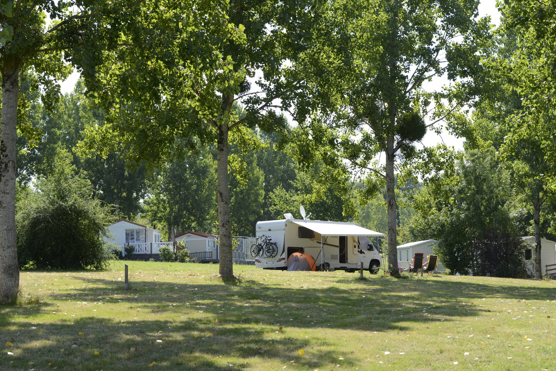 Wohnmobil auf einem Campingplatz im Grünen unter hohen Bäumen, mit Vorzelt und Sitzgelegenheiten am Stellplatz.