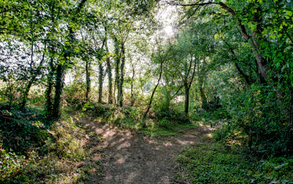 Camping Naturiste Le Colombier (Saint-Martin-Lars-en-Sainte-Hermine)