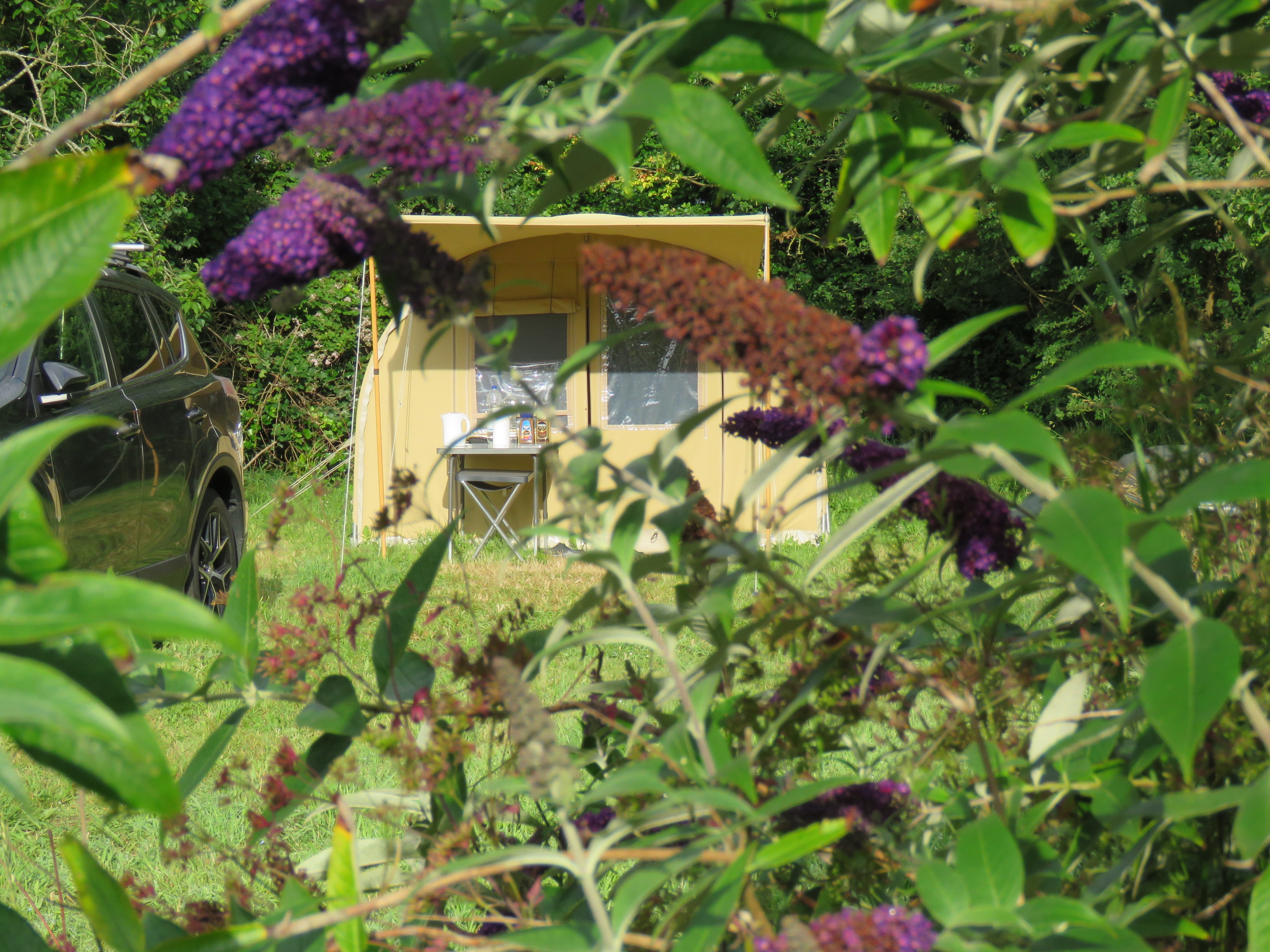 Camping Le Coq Hardi