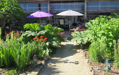 Camping Le Coq Hardi
