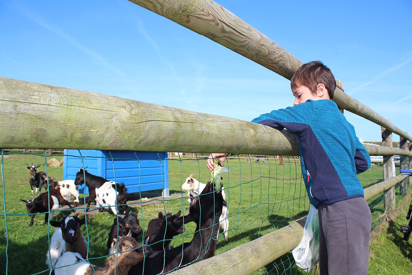 Camping Le Cormoran (Ravenoville-Plage)